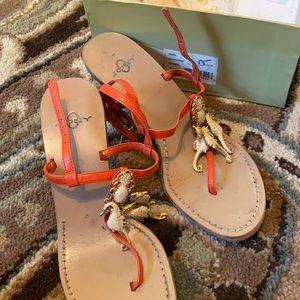 Sea horse heels